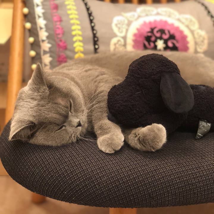 D9ef3519 5cef 4c76 b71a 8ca450bd072b 1516451417185