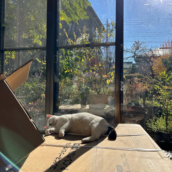 D9ef6348 1dcf 4c23 98b0 45ad35a20072 1733459581196