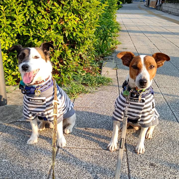 D9ef82b4 7868 483c bae2 0dea97f3b494 1656710794175