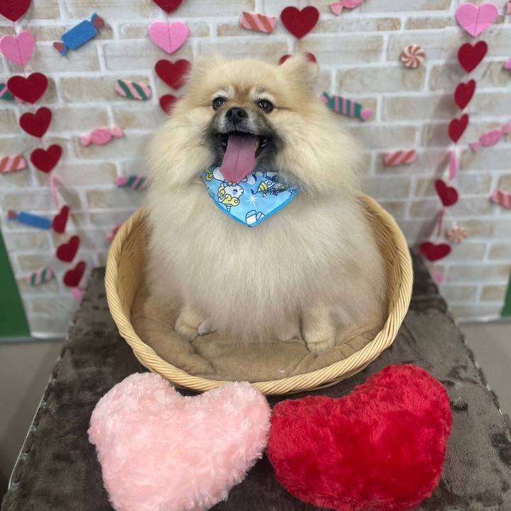 D9efa4f3 9d4e 4c91 accd b17cd2d955e7 1739516995247