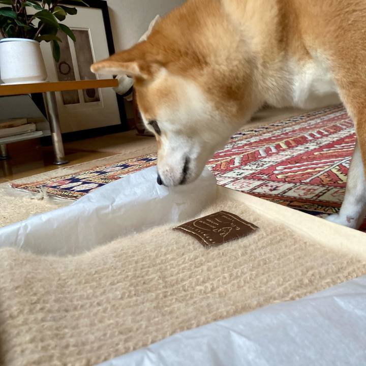 D9efcbe8 720f 4e62 8ace f96851afc8df 1738204424439