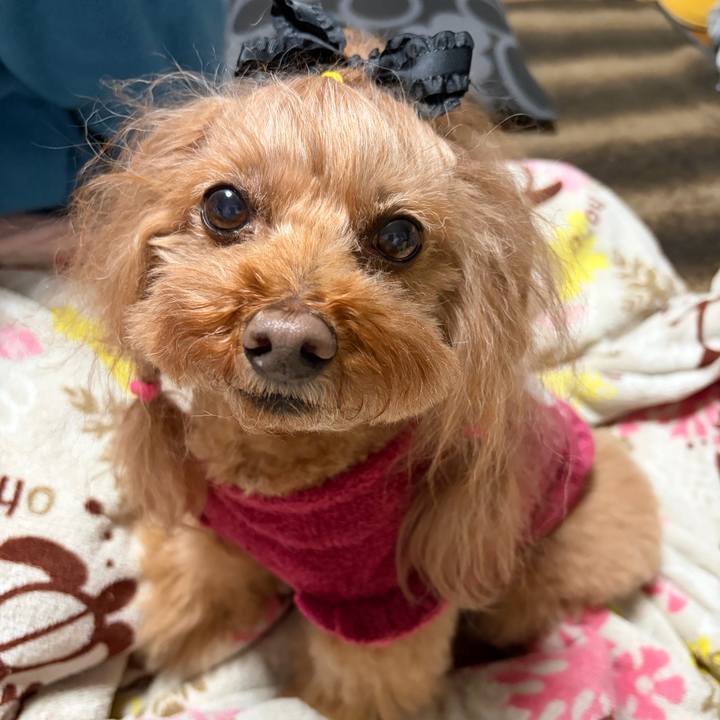 D9f0001f 20ae 4f77 9cb5 4aeb280a687a 1768482500070