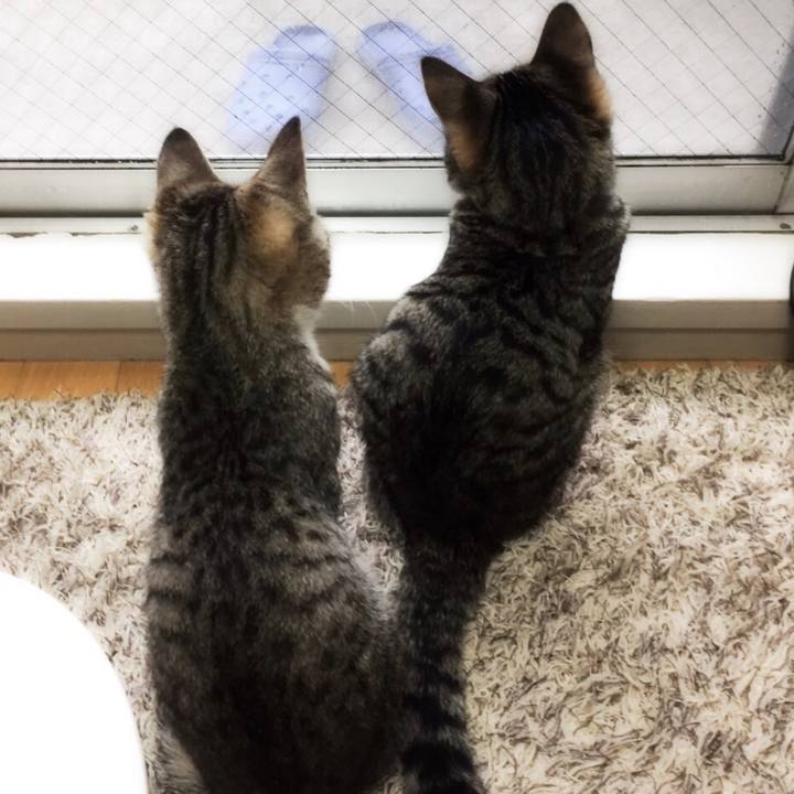 D9f01fa5 7d63 47f5 9ccd 57a9eb379b05 1547790974353