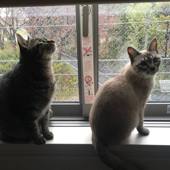 D9f059e2 286c 47c5 bc05 fbc1a3b4fa41 1554854406570