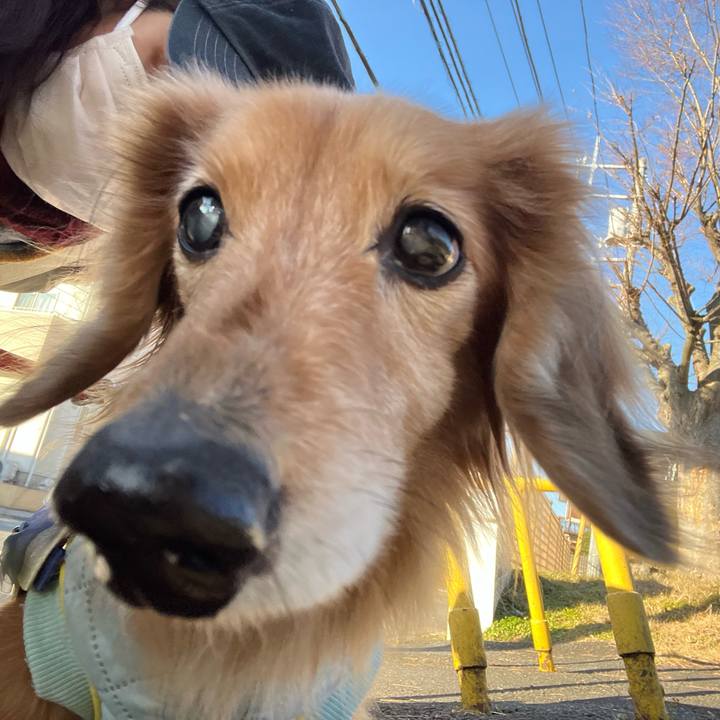 D9f06150 bdf2 4b4e 8a98 5d9c59d1c6c0 1674309656975