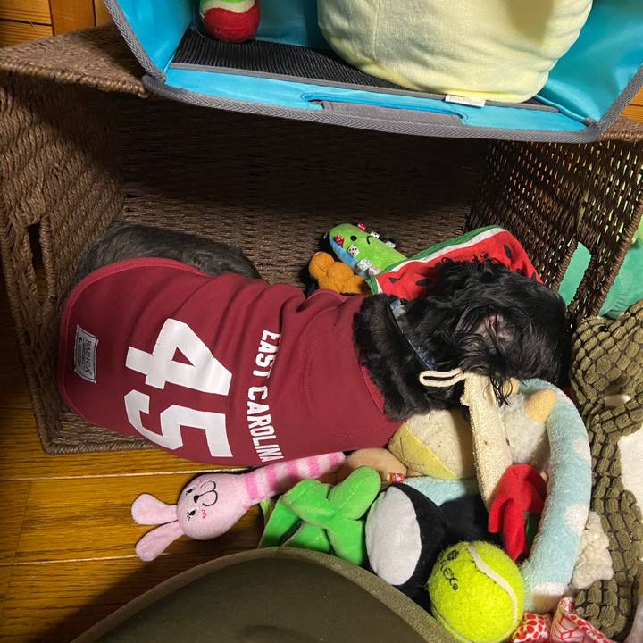 D9f07afd a0af 48cf b4e8 f45595a1be59 1607421337628