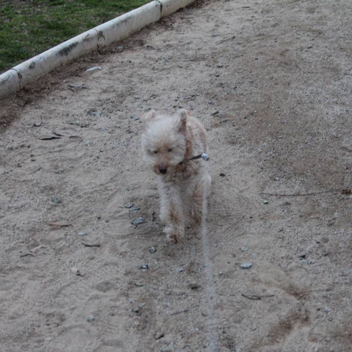 D9f0831e 20fb 4b32 b02d d32738322b9d 1518990877410