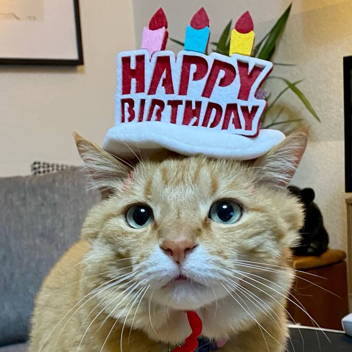 D9f0a296 1bf3 4b98 9256 8e9b4ae91568 1680821303990