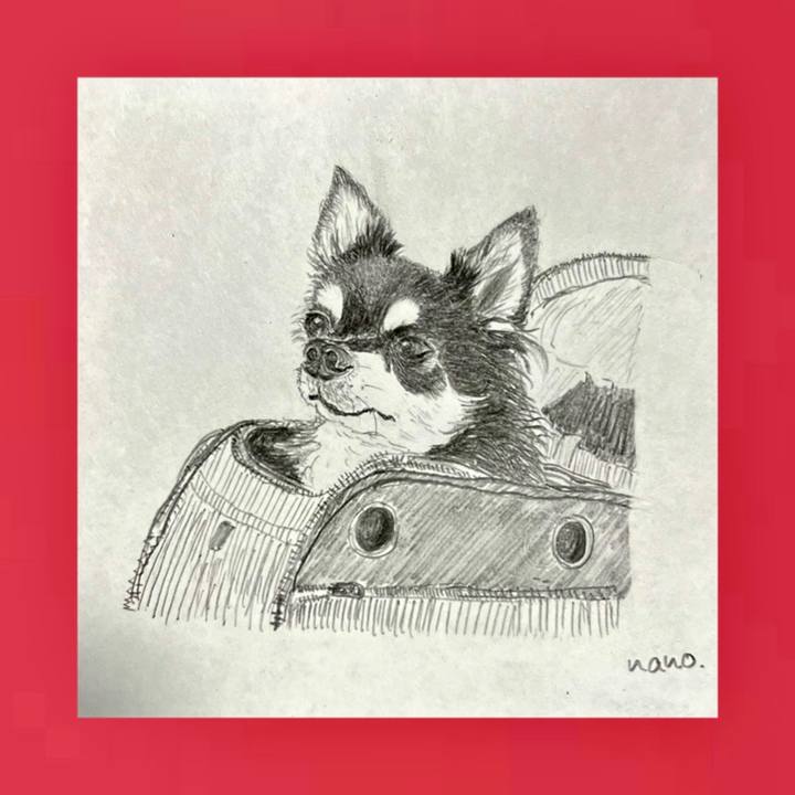 D9f0a67f 197a 4e19 b67d c7befa77e834 1690269610387