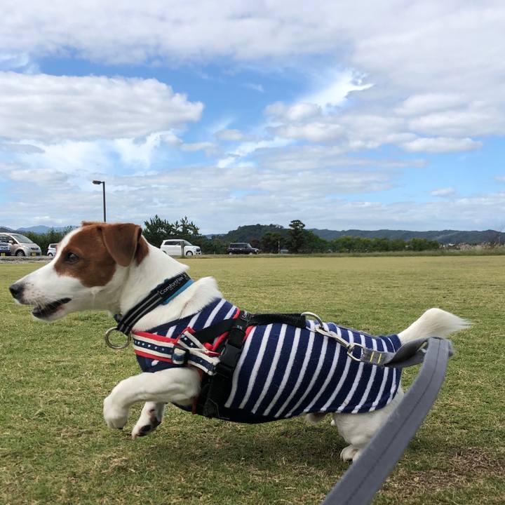 D9f0c339 13ae 42a4 a163 9150a4b443c8 1571217404865