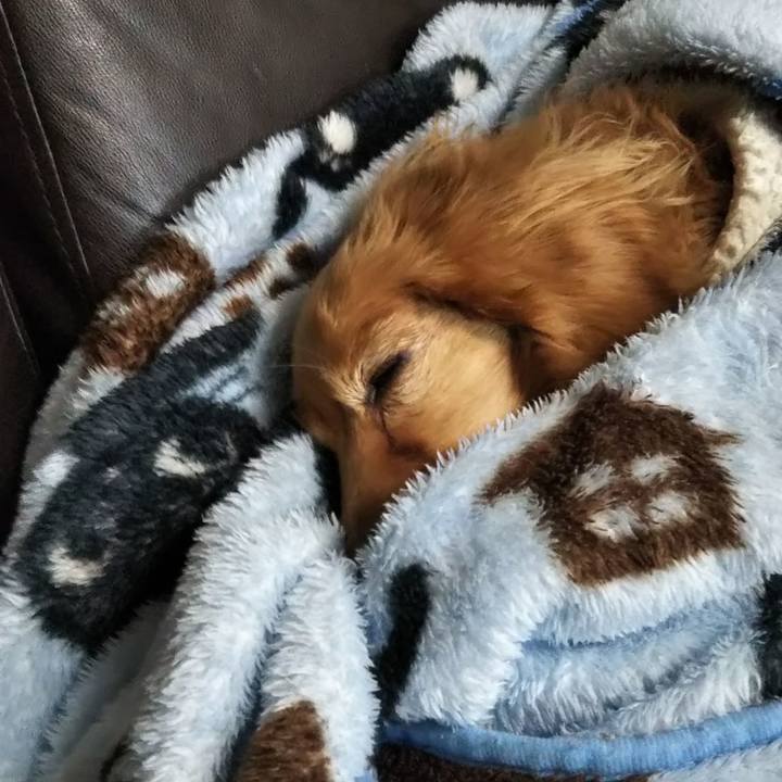 D9f0c782 4238 4fc0 a814 5d37b8161b4a 1607519143176