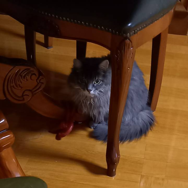 D9f0dfc3 1503 4989 8080 3c055f3ed0f2 1671107954611