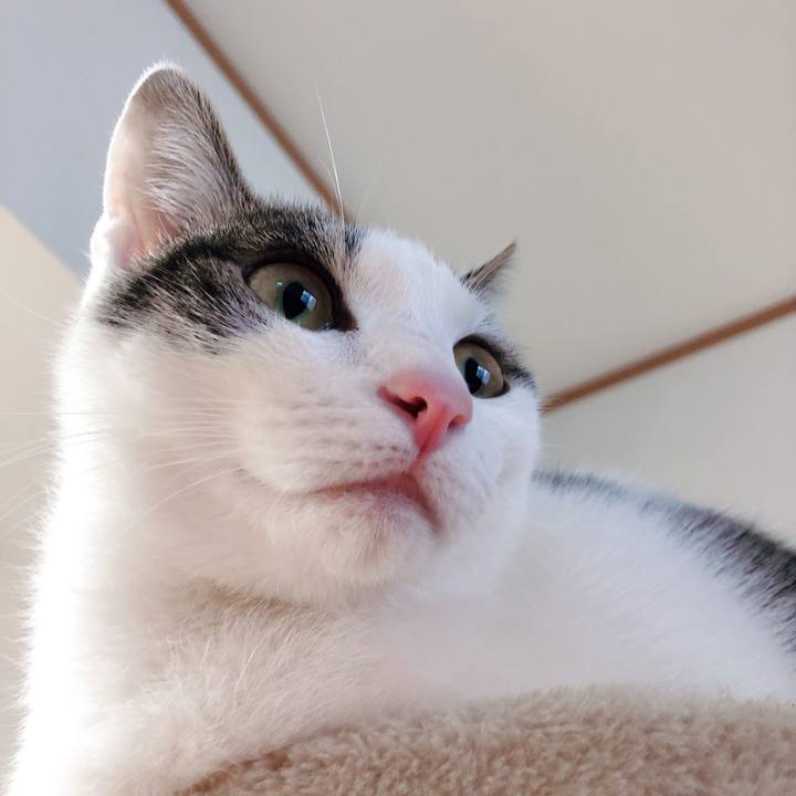 D9f0e841 3ec8 4908 9586 bae095dcc52b 1583828528807