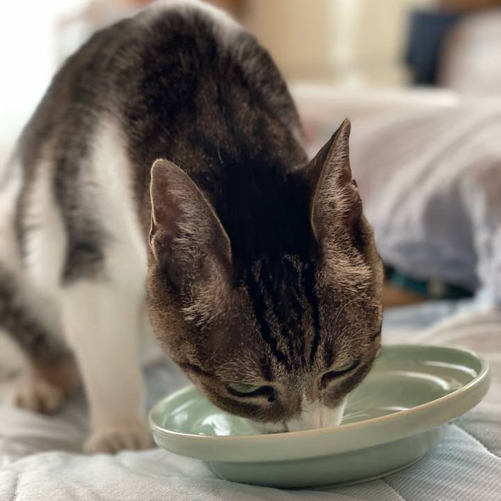 D9f11a94 102e 4954 88c1 b7280bb4ab9a 1662512931013