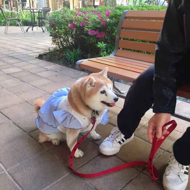 D9f12eda 20b1 4e93 83d2 601b1d8cb009 1619255546276