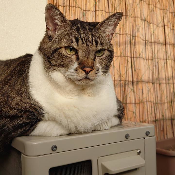 D9f14937 c5c9 41e8 8616 8a5a70995644 1636166052279