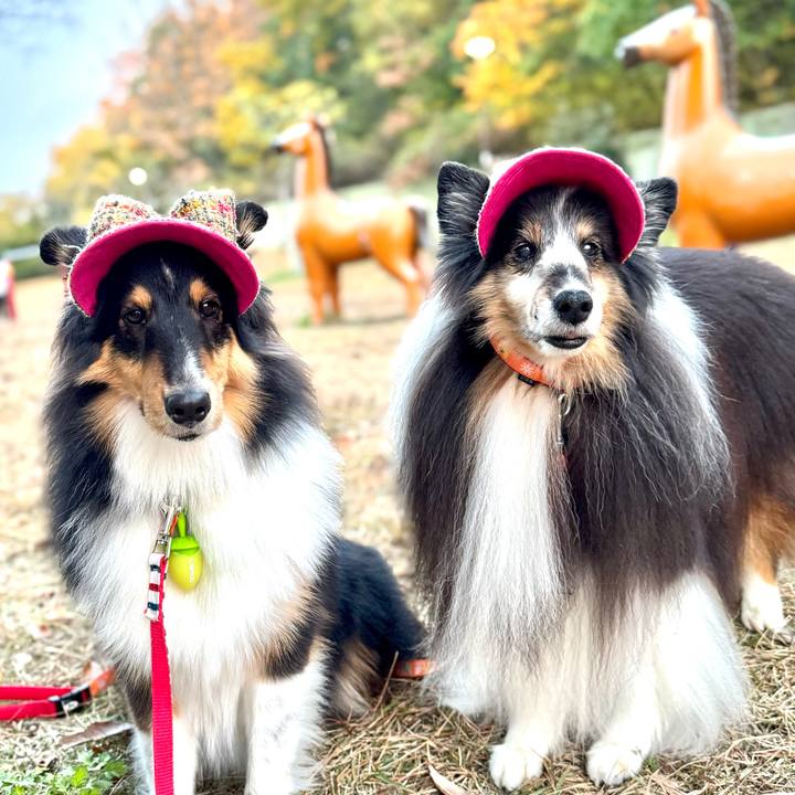 D9f19749 1bed 4506 b9c6 d3fa05e8f861 1764626796950