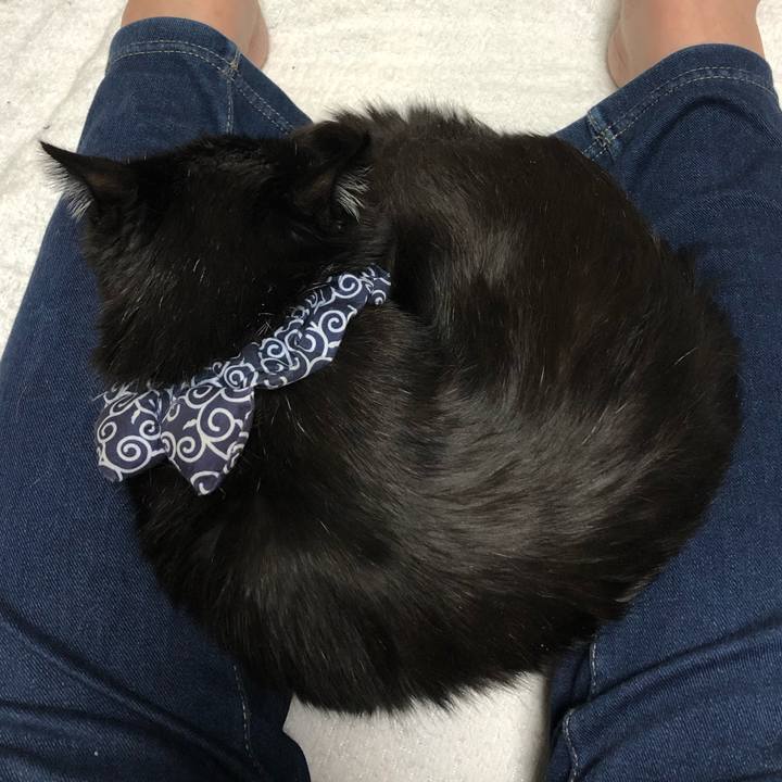 D9f1d77d 471d 476f a52f 4875bce51783 1578220008637