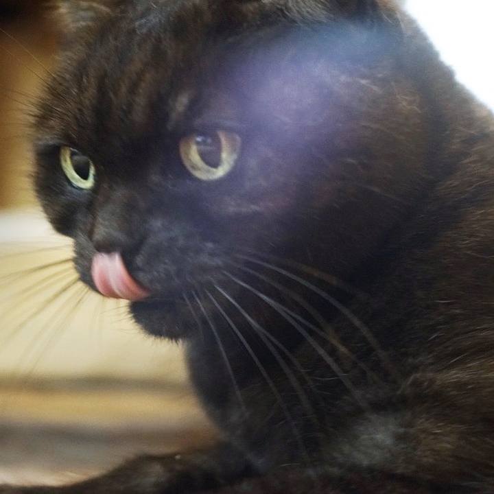 D9f225f5 e84a 45a5 b59e f4a12a9a85ed 1575268193265