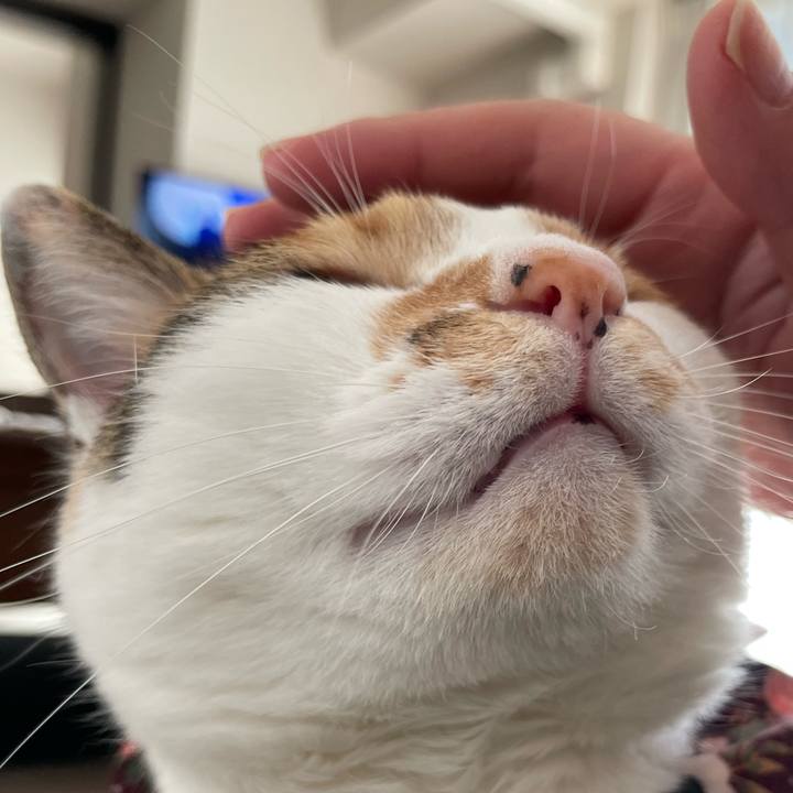 D9f251ca 1952 4958 89be 941bf2b33296 1740376351201