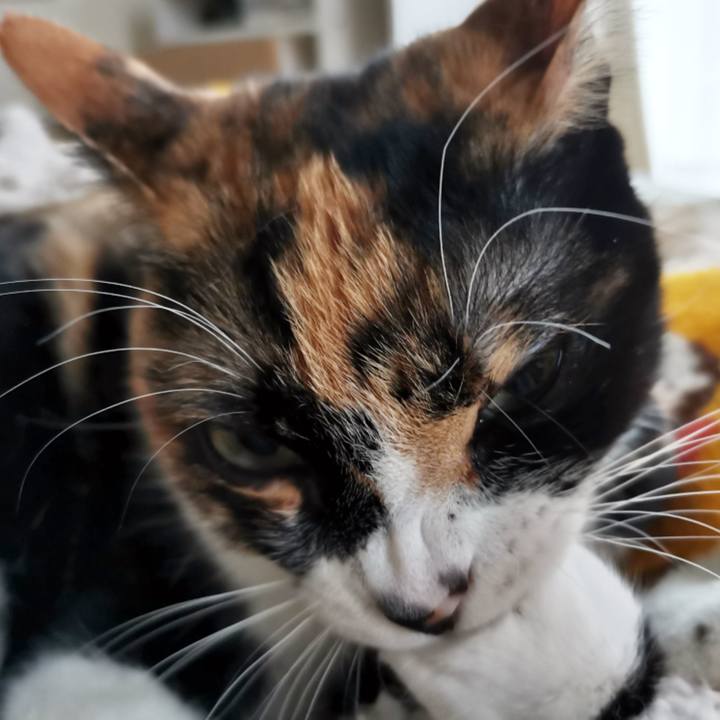 D9f25e35 356a 4adf 9bf0 a0a17b1937d7 1643169382331