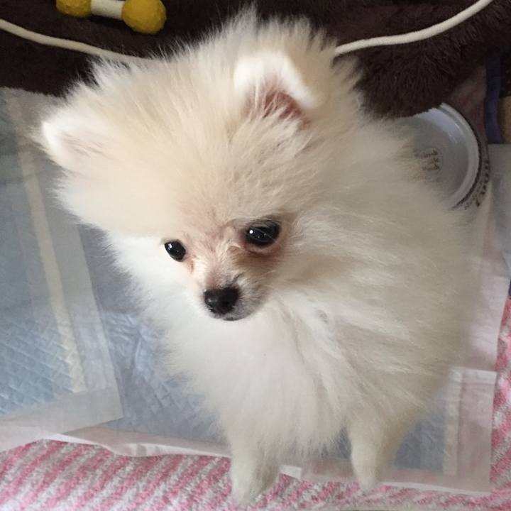 D9f28a56 6b90 462a a87b f218983c72c8 1629175863967