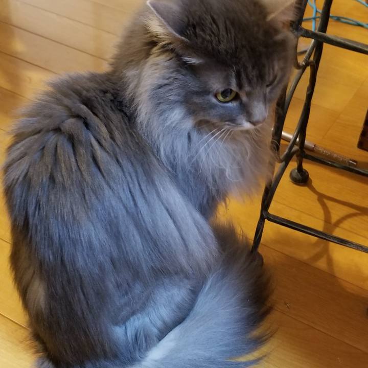 D9f29a37 1a0c 4405 b67c 8eefbb5f0548 1548367058653