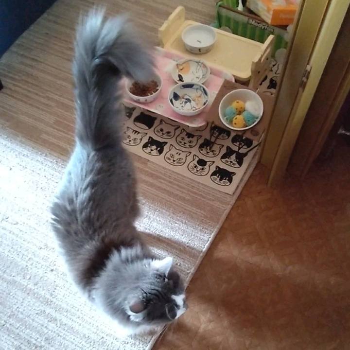 D9f2a516 772f 4518 931e 92de1a7b7670 1626233483727