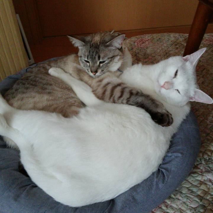 D9f2c116 6060 484e 84a3 a2d2502b9688 1521170083493