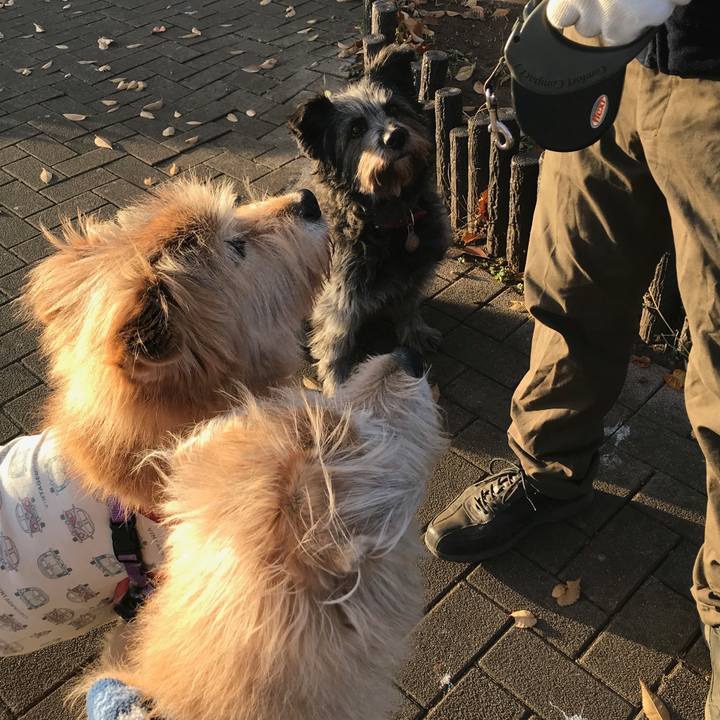 D9f2f71d 0123 4f54 8bfd a0f41edd43ef 1608332637866