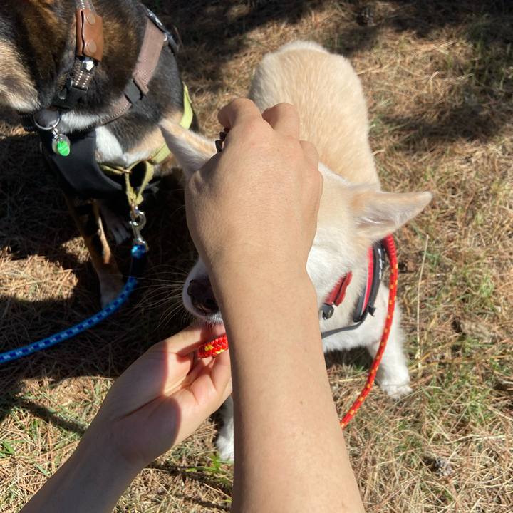 D9f34fda 8d8b 4276 b383 d77c1b88d357 1727401338397