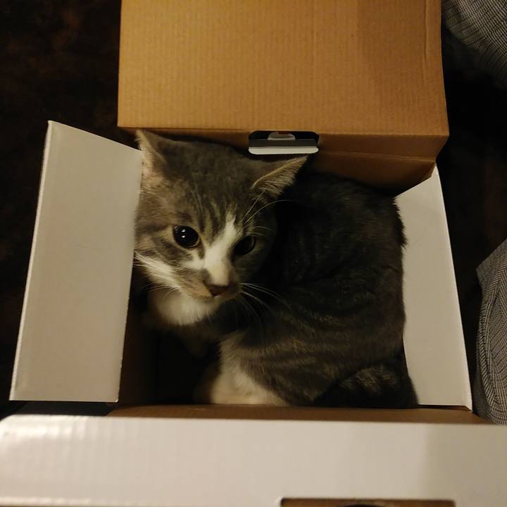 D9f35a8a d2c3 41cd 8ecf 4c61e89f5e96 1578838660854