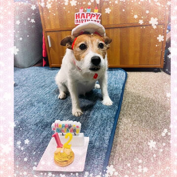 D9f35c87 7b1c 4867 b8a6 bee02e60432a 1617582334512