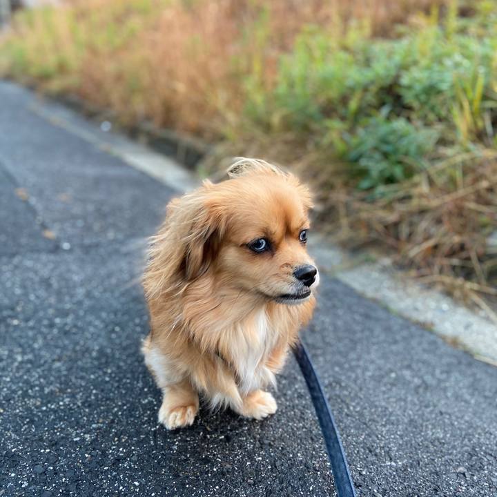 D9f360b1 342a 4220 b3ef 7f9b02c7d0c4 1577403177079