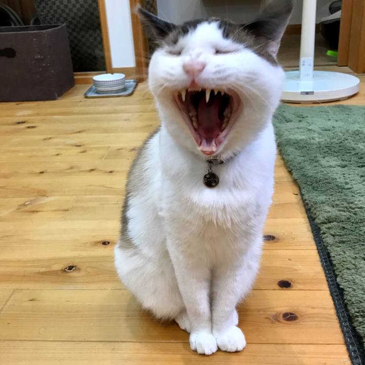 D9f3725f 7603 4725 abfc 893627c9207d 1626260699978