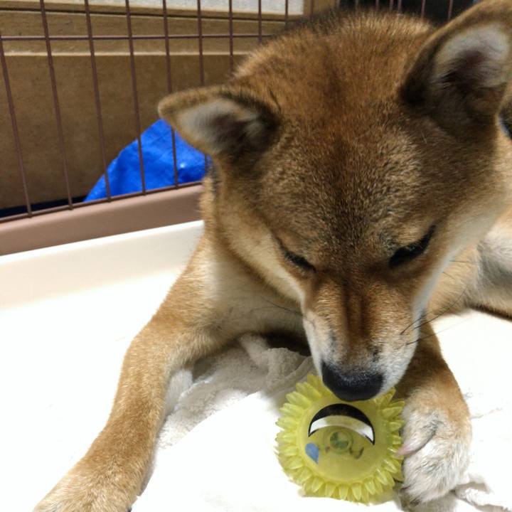 D9f37f20 9e85 4062 96b9 7a20182d58b2 1532495888353