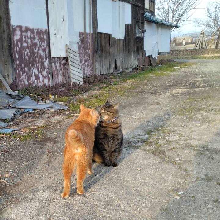 D9f3a8c2 9e19 4a3a 94c1 6ec99619b2d5 1679905163680