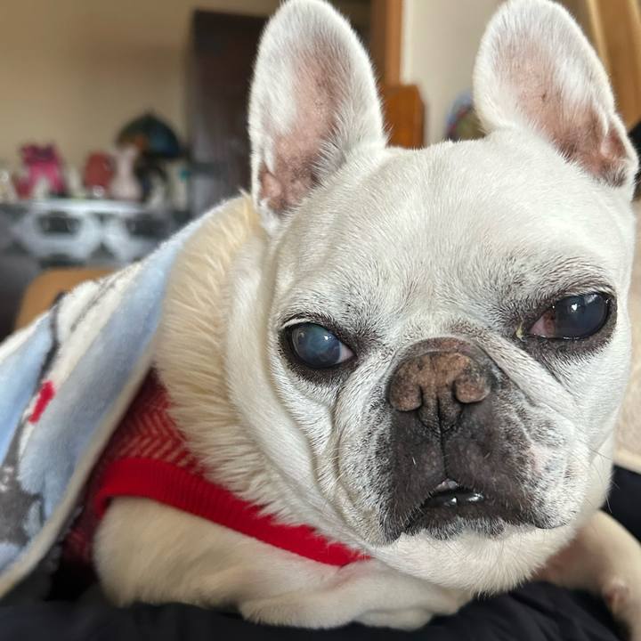 D9f3ea0f 73de 4b1d b4b7 d1b2021876f4 1734597568852