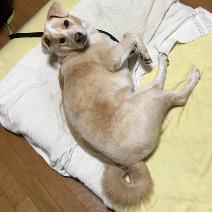 D9f43171 ffa6 4c94 bd9a a4bd7a710507 1532577467005