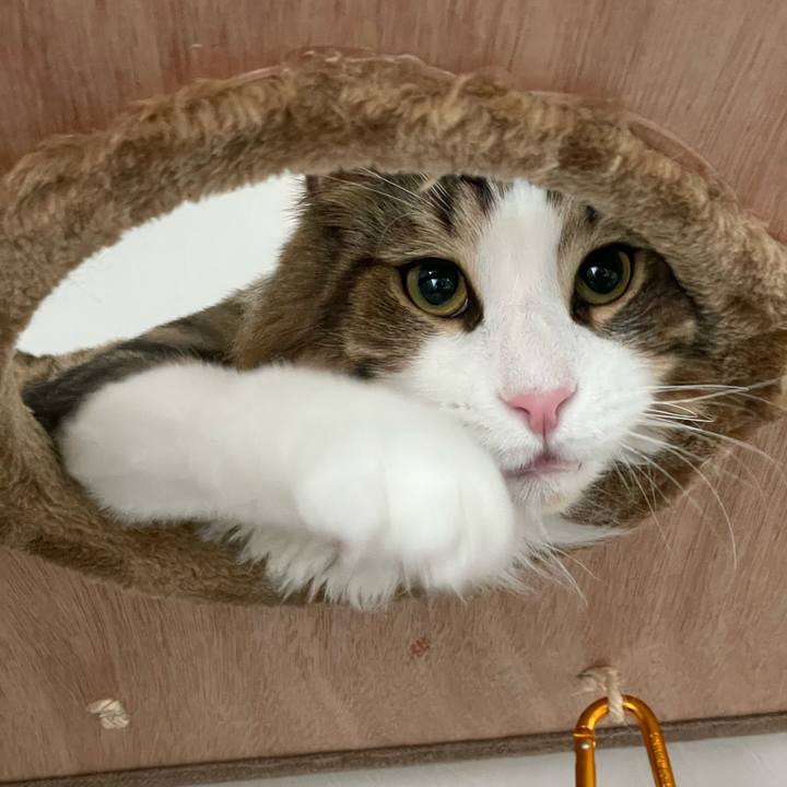 D9f43500 fe4b 47cf ad48 16923209ba7a 1660082347762