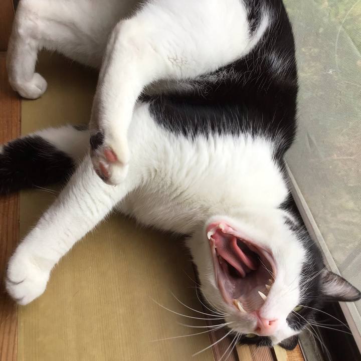 D9f44cc9 4722 4503 aeb0 5d925e86dc75 1750675418054