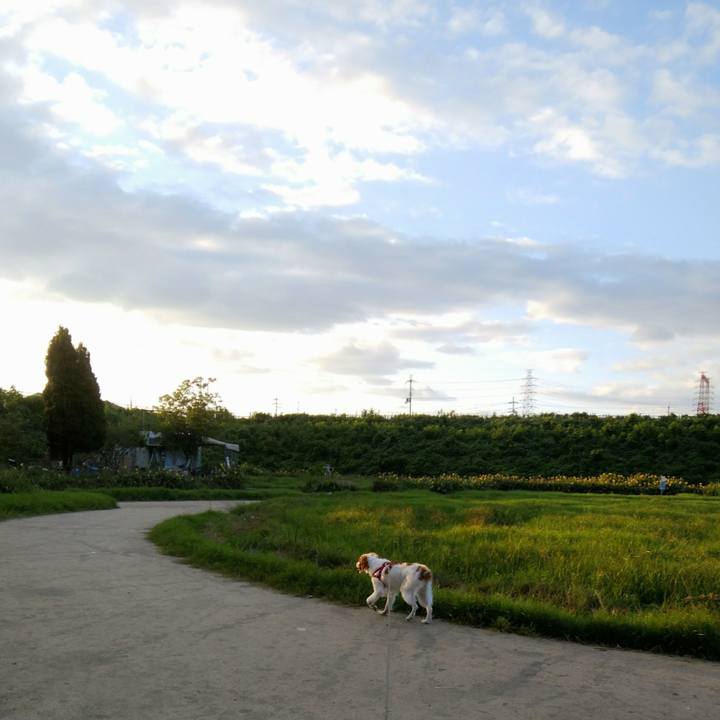 D9f45146 4d94 4d44 b405 5d7dad908d2d 1533731680212