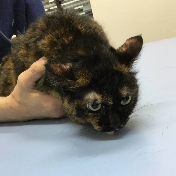 D9f492db 4e5a 4add 8ef8 72265e4bf938 1588131001941