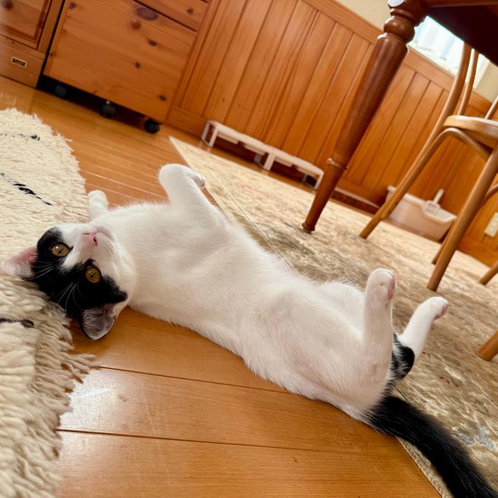 D9f49853 d05a 4b2f ac78 d76183cfd087 1761024414563