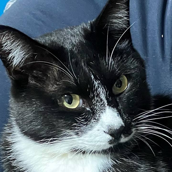 D9f5227f 6c57 4d03 8c55 663c019ded26 1670039481407