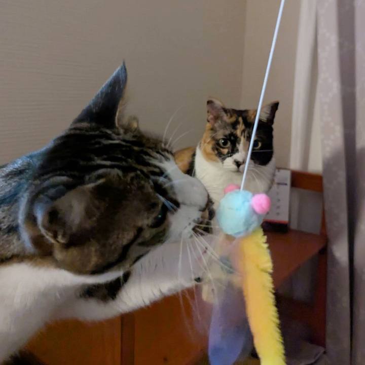 D9f52345 7842 401e 9c83 42b83bc503da 1756361298136