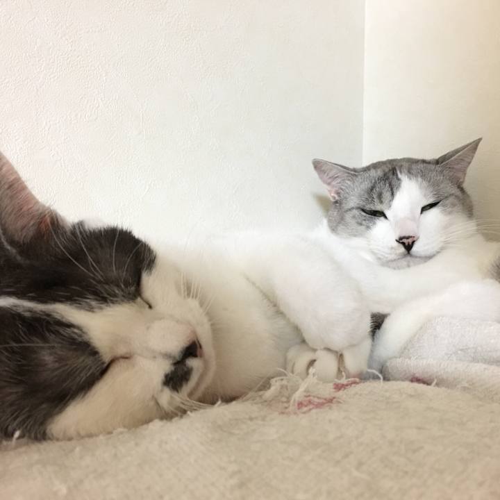 D9f561c5 ee78 4280 b546 9d1704802f9f 1507973827390