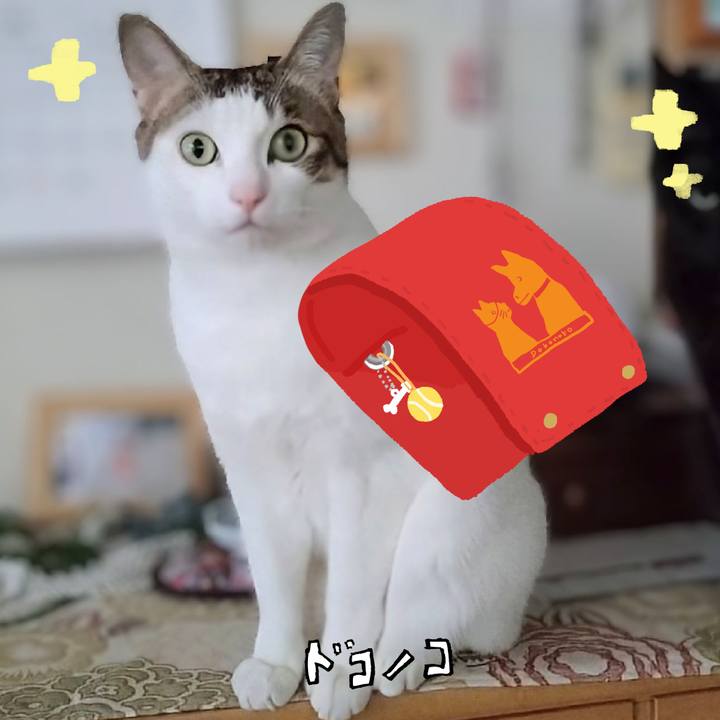 D9f5a371 0cb3 4264 8d3e 5c997ae9ef31 1744469650692