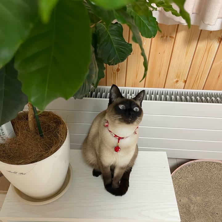 D9f5d0fc ffe6 42a2 b028 65499a5163c9 1737490048852