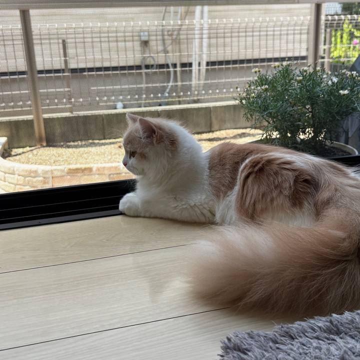 D9f5de00 5bf4 4e41 904d 6e65a0393796 1752370094152